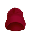 Printer Flexball Beanie